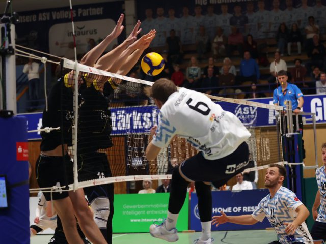 Tb Asv Volleys Behalten Ihre