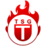 Logo Tübingen